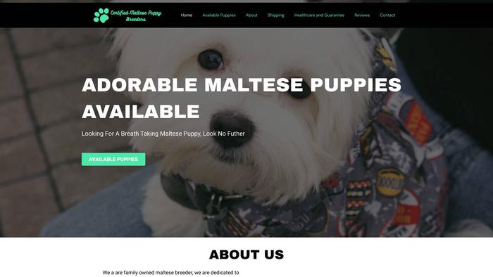 Certifiedmaltesepuppybreeders.com - Maltese Puppy Scam Review