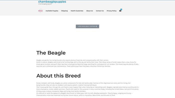 Chambeaglepuppies.com - Beagle Puppy Scam Review