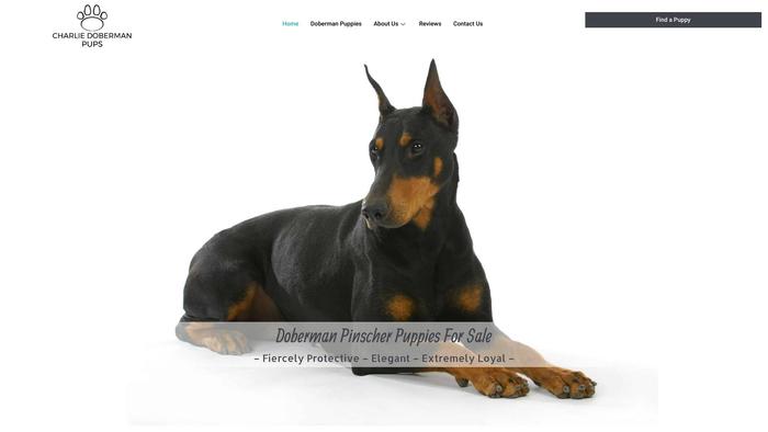 Charliedobermanpups.com - Doberman Pinscher Puppy Scam Review