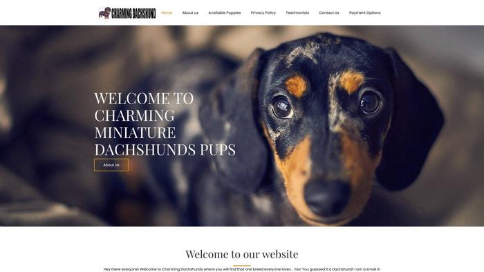 Charmingdachshundpups.com - Dachshund Puppy Scam Review