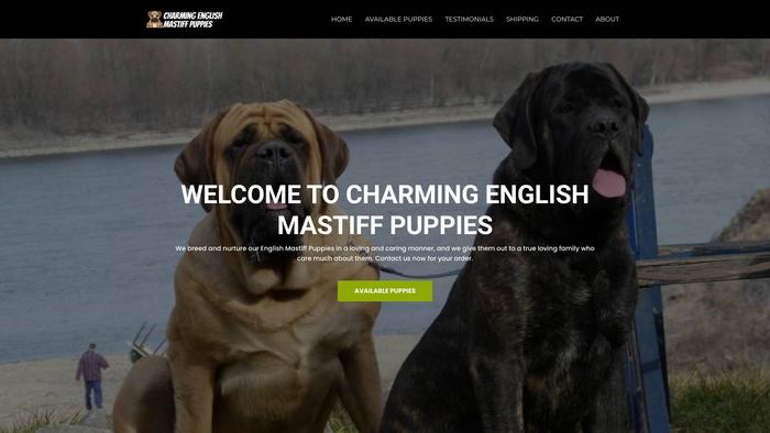 Charmingenglishmastiffpuppies.com - Tibetan Mastiff Puppy Scam Review