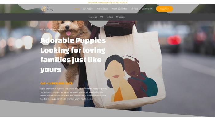 Citipuppyhome.com - Maltipoo Puppy Scam Review