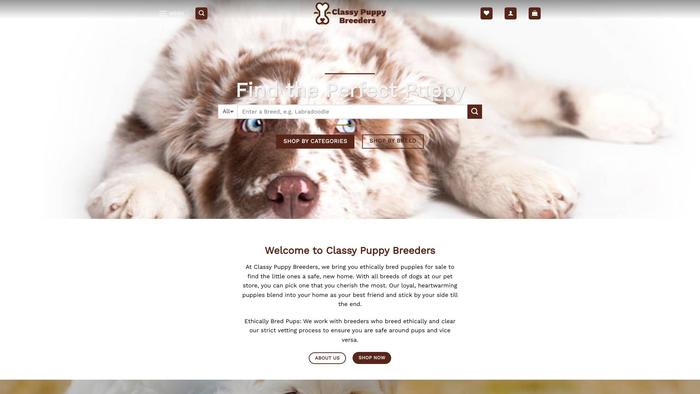 Classypuppiesforsale.com - Golden Retriever Puppy Scam Review