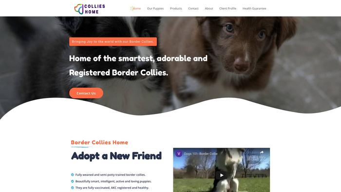 Collieshome.com - Bordercollie Puppy Scam Review