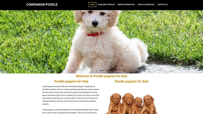 Companionpoodlehome.com - Poodle Puppy Scam Review