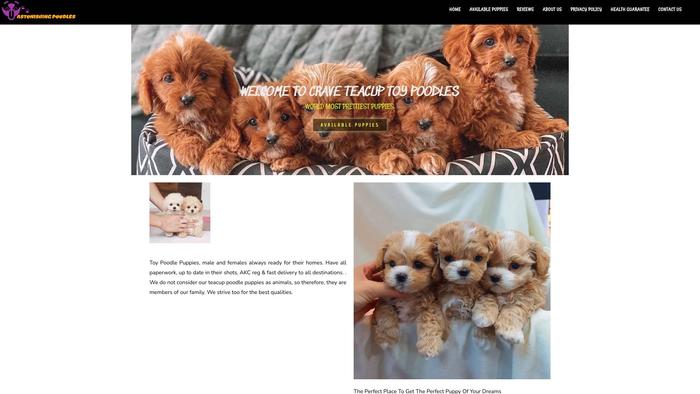 Cravetoypoodles.com - Poodle Puppy Scam Review