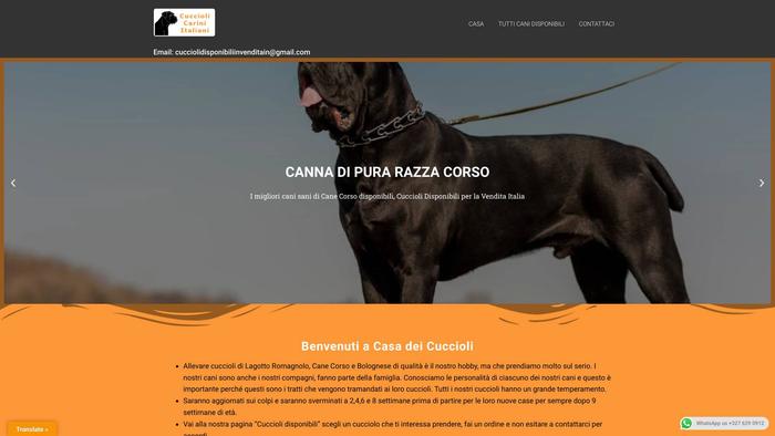 Cucciolidisponibiliinvenditainitalia.com - Cane Corso Puppy Scam Review