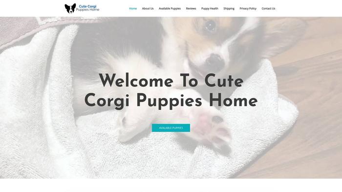 Cutecorgipuppieshome.com - Corgi Puppy Scam Review