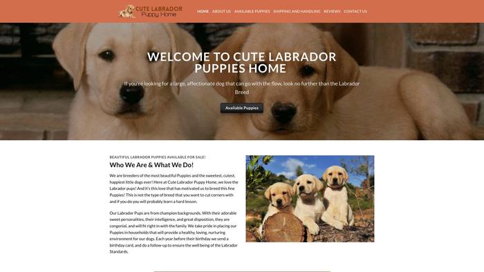 Cutelabradopuppieshome.com - Labrador Puppy Scam Review