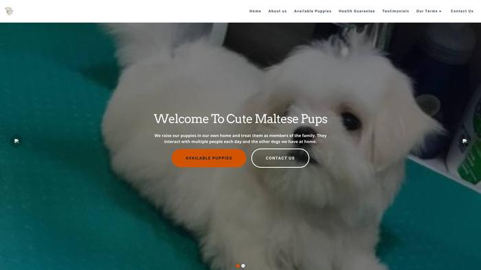 Cutemaltesepups.com - Maltese Puppy Scam Review