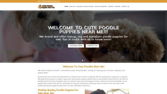 Cutepoodlepuppiesnearme.com - Poodle Puppy Scam Review