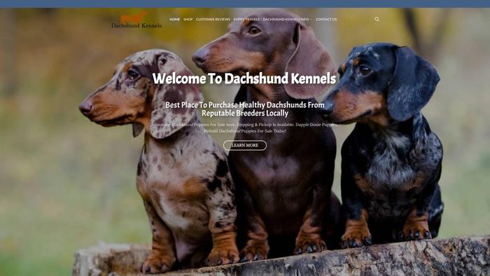 Dachshundkennels.com - Dachshund Puppy Scam Review