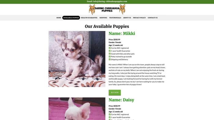 Daring-chihuahuapuppies.com - Chihuahua Puppy Scam Review