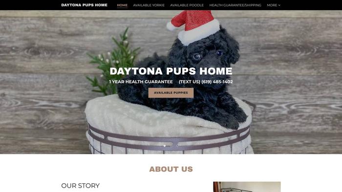 Daytonacuttypuphome.com - Yorkshire Terrier Puppy Scam Review