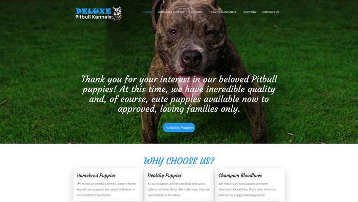 Deluxepitbullkennels.com - Pit Bull Puppy Scam Review