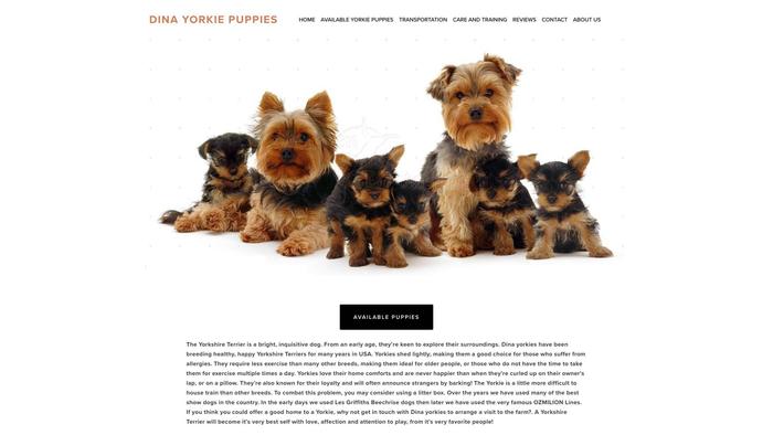 Dinayorkiepuppies.com - Yorkshire Terrier Puppy Scam Review