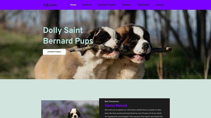 Dollysaintbernardpups.com - Saint Bernard Puppy Scam Review