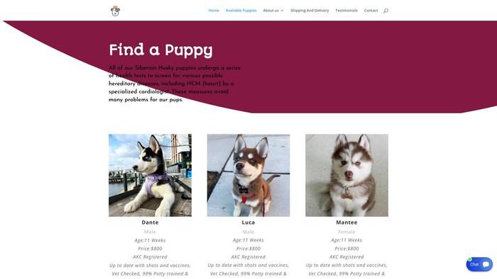 Donalddiamonhuskies.com - Husky Puppy Scam Review