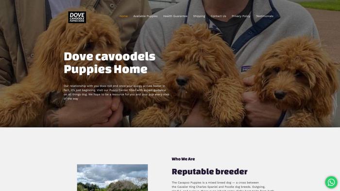 Dovecavoodlespuppieshome.com - Cavapoo Puppy Scam Review