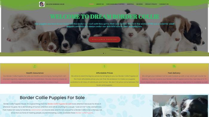 Dreamhomebordercollie.com - Bordercollie Puppy Scam Review