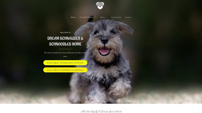 Dreamschnauzerandschnoodlehome.com - Schnauzer Puppy Scam Review