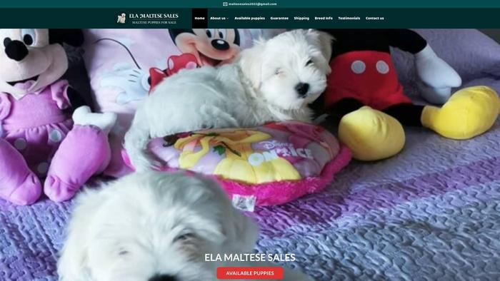 Elamaltesesales.com - Maltese Puppy Scam Review