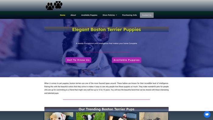 Elegantbostonterrierforsale.com - Boston Terrier Puppy Scam Review