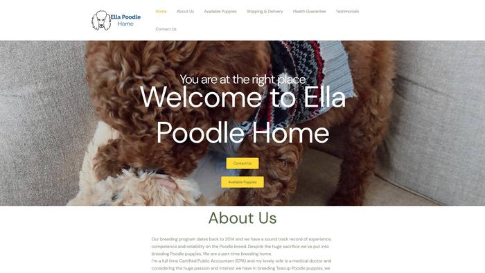 Ellapoodleshome.com - Poodle Puppy Scam Review