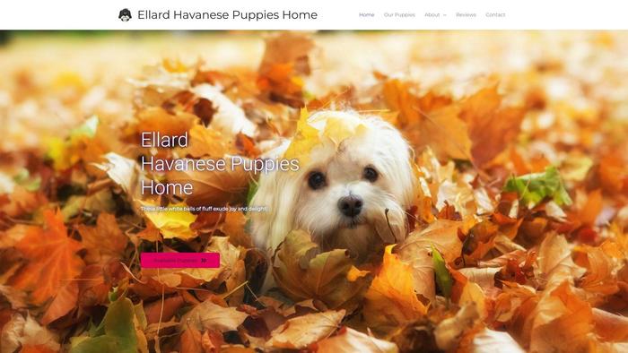 Ellardhavanesepuppieshome.com - Havanese Puppy Scam Review