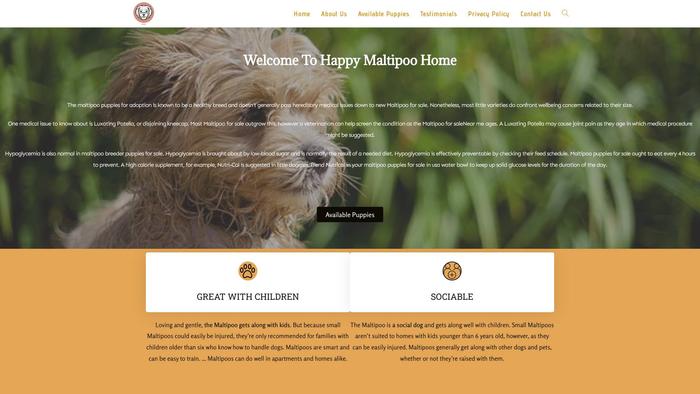 Everydaymalpuppies.com - Maltese Puppy Scam Review