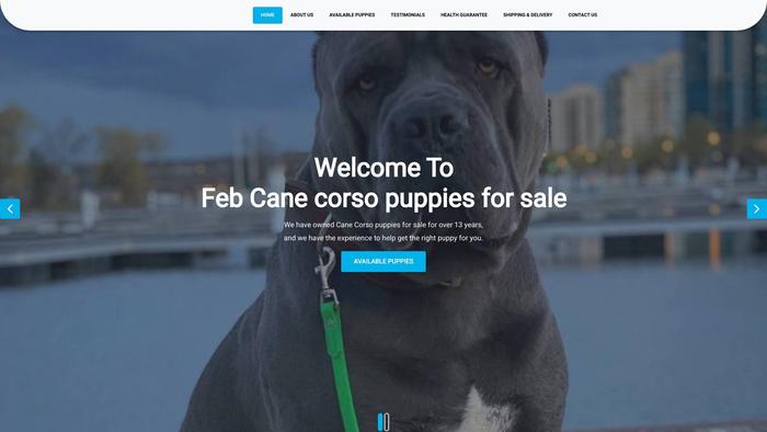 Febcanecorsopuppiesforsale.com - Cane Corso Puppy Scam Review