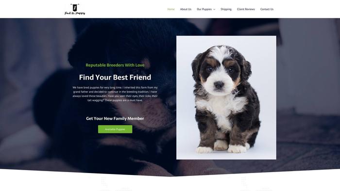 Findurpuppy.net - French Bulldog Puppy Scam Review