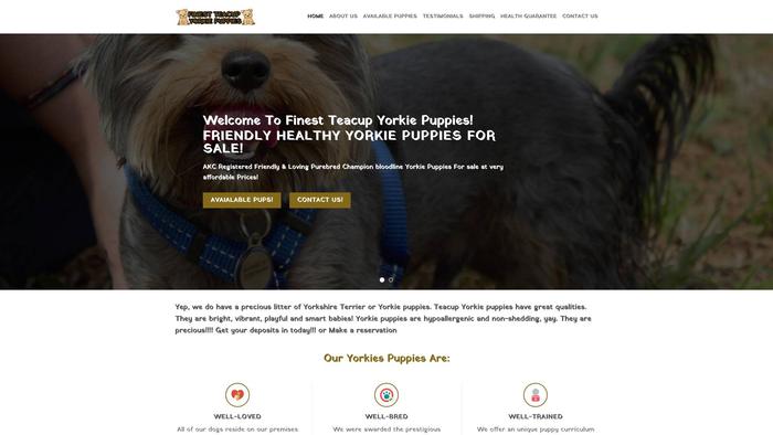 Finestteacupyorkiepuppies.com - Yorkshire Terrier Puppy Scam Review