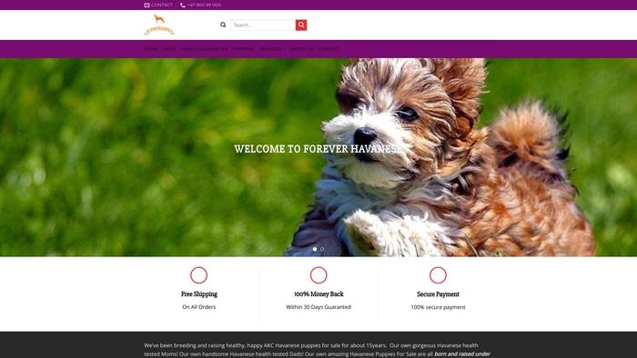 Foreverhavanese.com - Havanese Puppy Scam Review