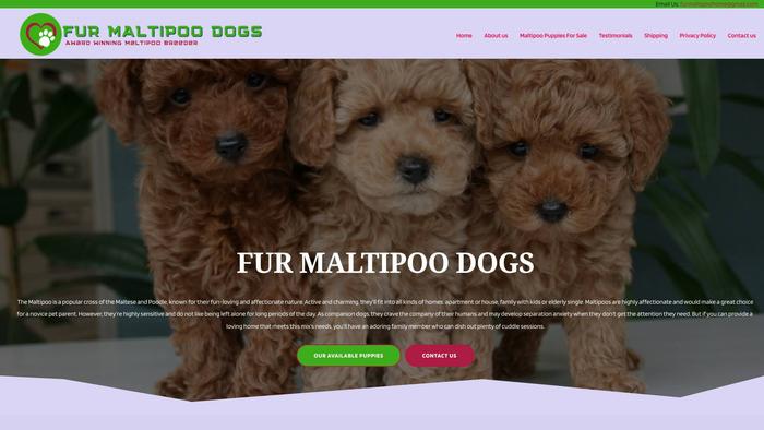 Furmaltipoodogs.com - Maltipoo Puppy Scam Review