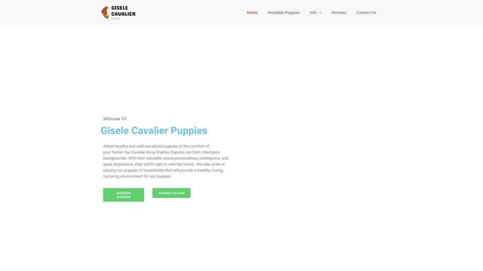 Giselecavalierpuppies.com - Cavalier King Charles Spaniel Puppy Scam Review