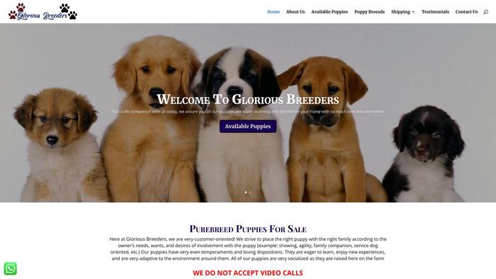 Gloriousbreeders.com - Husky Puppy Scam Review