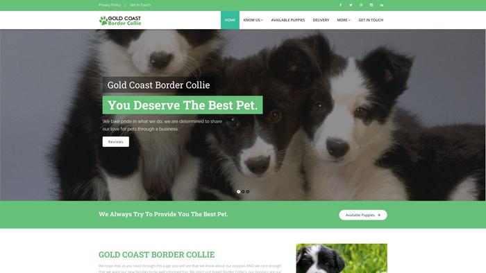 Goldcoastbordercollie.com - Bordercollie Puppy Scam Review