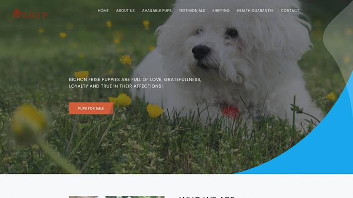 Goldenbichonfrisepups.com - Bichon Frise Puppy Scam Review