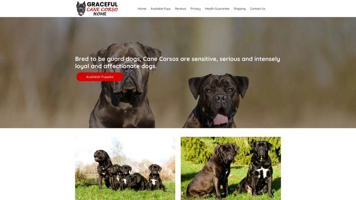 Gracefulcanecorsohome.com - Cane Corso Puppy Scam Review