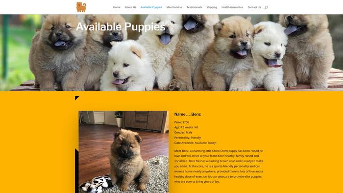 Graciouschowchowpuppies.com - Chowchow Puppy Scam Review