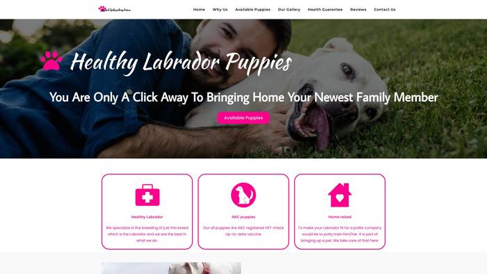 Grandlabradorshome.com - Labrador Puppy Scam Review