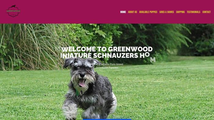 Greenwoodschnauzers.com - Schnauzer Puppy Scam Review