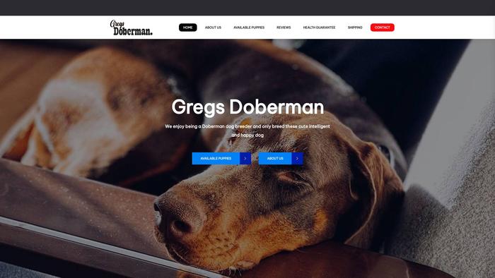 Gregsdoberman.com - Doberman Pinscher Puppy Scam Review