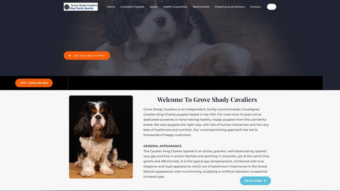 Groveshadykingcharles.com - Cavalier King Charles Spaniel Puppy Scam Review