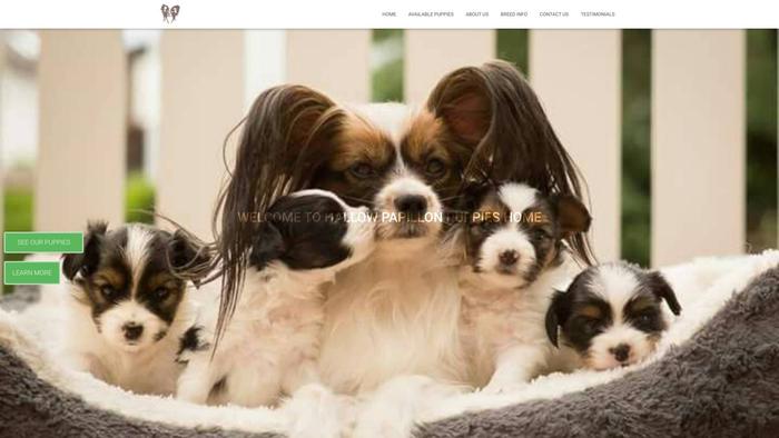 Hallowpapillonpuppies.com - Papillon Puppy Scam Review