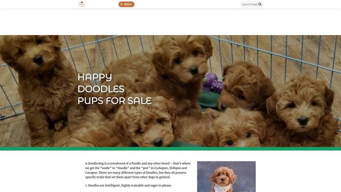 Happydoodleshome.com - Labradoodle Puppy Scam Review