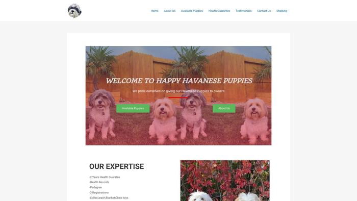 Happyhavanesepuppies.com - Havanese Puppy Scam Review