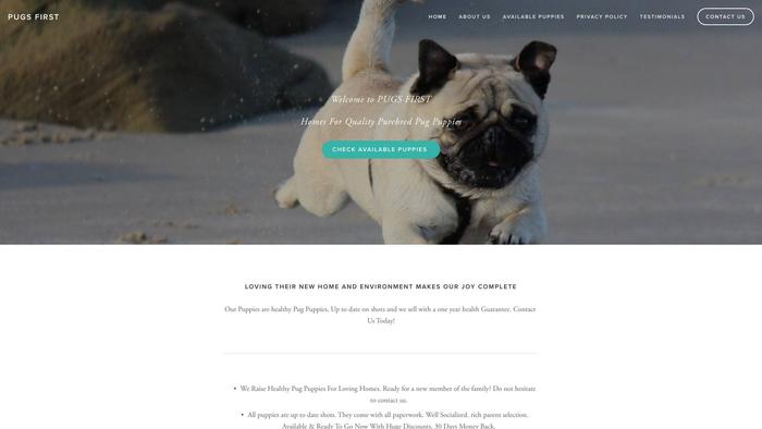 Happypugsforhomes.com - Pug Puppy Scam Review