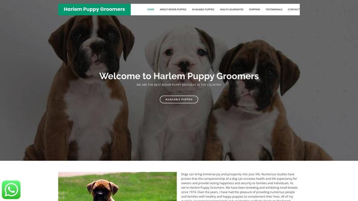 Harlempuppygroomers.info - Boxer Puppy Scam Review